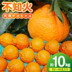 S153-006_天草産 不知火 約5kg
