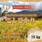 山崎農園のこしひかり 精米 10kg