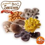 オーガニックきのこ5種を3回に分けてお届け1.5kg×3 計4.5kg