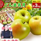 りんご ぐんま名月 約3kg