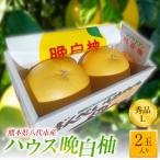 ハウス晩白柚 秀品Lサイズ2玉入り _251-6453-B