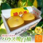 ハウス晩白柚 秀品2Lサイズ2玉入