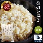 特別栽培米 金のいぶき 玄米 10kg