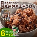産玄米 藤農園の美食米 発芽酵素玄米ごはん 6パック