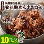産玄米 藤農園の美食米 発芽酵素玄米ごはん 10パック
