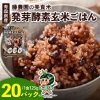 産玄米 藤農園の美食米 発芽酵素玄米ごはん 20パック