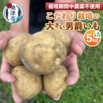 栽培期間中農薬不使用 こだわり栽培の大きい男爵いも5kg