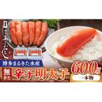博多まるきた水産 博多あごおとし 一本物300g×2