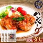牛タン入り ハンバーグ 鶏肉 肉 牛タン入 冷凍