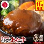 GI認証 くまもとあか牛 ハンバーグ 150g×6個