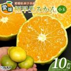 <木下さんちのみかん 良品 約10kg