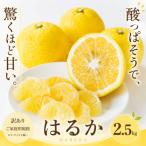 <訳あり 産はるか 合計約2.5kg>上品な甘さ
