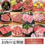 ふるさと納税 南さつま市 【定期便 全6回】情熱牧場 鹿児島県産お肉の定期便 シーズンセレクト