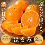 ふるさと納税 西予市 <訳あり 愛媛県産はるみ 合計約2.5kg>甘い ご家庭用 果汁 果物 愛媛