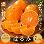 2027年2月上旬~3月下旬迄に 出荷予定