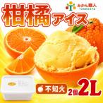 柑橘アイス 1個1000ml みかん職人武田屋