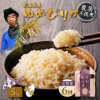 特別栽培米 ゆめぴりか 玄米 5kg