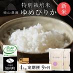 精米 特別栽培米 ゆめぴりか2kg×2個セット