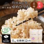 特別栽培米 玄米ゆめぴりか2kg×2個