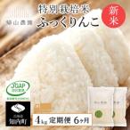 特別栽培米 ふっくりんこ2kg×2個セット