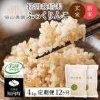 精米 特別栽培米 ゆめぴりか2kg×2個セット