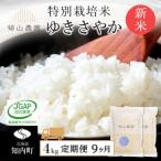特別栽培米 玄米ゆきさやか2kg×2個