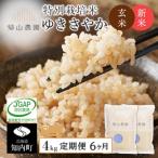 精米 特別栽培米 ゆきさやか2kg×2個セット