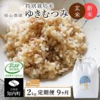 玄米 ゆきむつみ2kg