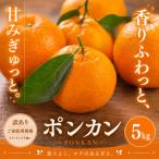 2027年1月上旬~3月上旬迄に 出荷予定