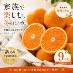 2026年10月下旬~1月下旬迄に 出荷予定