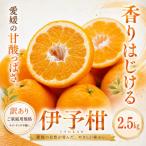 <訳あり 産伊予柑 合計約2.5kg>爽やか