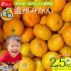 +500g<訳あり 温州みかん 約2kg>