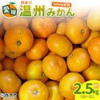 +500g<訳あり 温州みかん 約2kg>