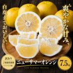 2027年4月中旬~5月下旬迄に 出荷予定