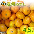 +500g fululy直送 温州みかん
