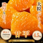 <訳あり 産甘平 合計約4.5kg>かんぺい