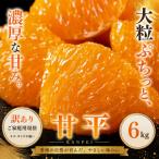 <訳あり 産甘平 合計約6kg>かんぺい