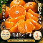 <訳あり 産清見タンゴール 合計約5kg>濃厚