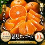 <訳あり 産清見タンゴール 合計約10kg>濃厚
