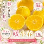 <訳あり 産媛小春 合計約1.5kg>ひめこはる