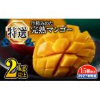 特選 丹精込めた完熟マンゴー2kg以上 4玉