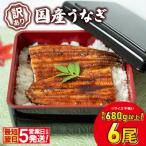 〈最短翌日発送〉 さかい河岸水産 うなぎ