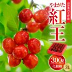 さくらんぼ やまがた紅王 300g