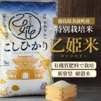 乙姫米 令和8年産 精米5kg
