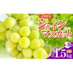 信州伊那産 シャインマスカット4-5房 合計1.5kg