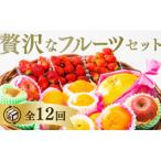 ふるさと納税 山口市 ご褒美*フルーツ定期便(12回) A130