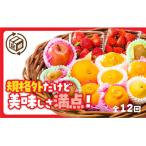 A133 規格外だけど美味しさ満点 エコ