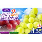 信州伊那産ぶどう3種食べ比べ 約1.5kg