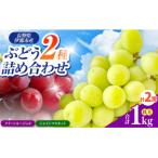 信州伊那産ぶどう2種食べ比べ 約1.0kg