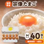 新鮮 赤卵 宗像たまご Mサイズ 40個